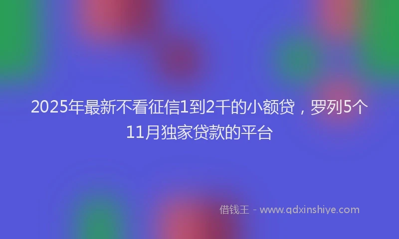 2025年最新不看征信1到2千的小额贷，罗列5个11月独家贷款的平台
