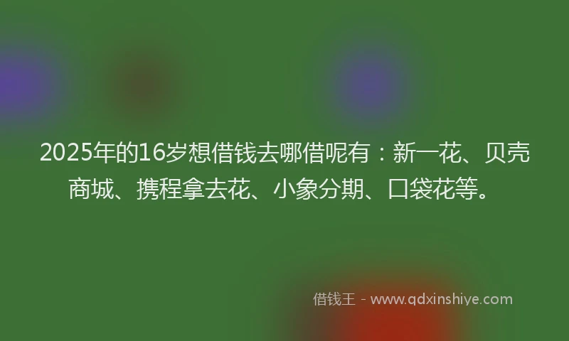 2025年的16岁想借钱去哪借呢有：新一花、贝壳商城、携程拿去花、小象分期、口袋花等。