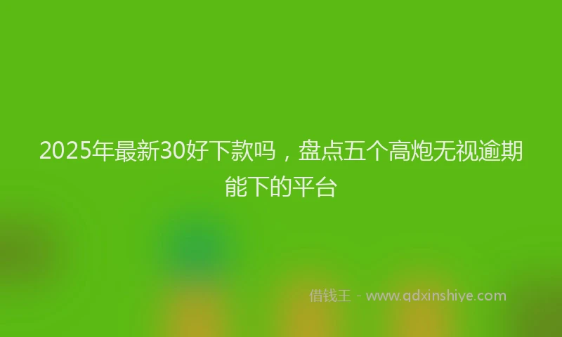 2025年最新30好下款吗，盘点五个高炮无视逾期能下的平台