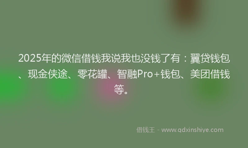 2025年的微信借钱我说我也没钱了有：翼贷钱包、现金侠途、零花罐、智融Pro+钱包、美团借钱等。