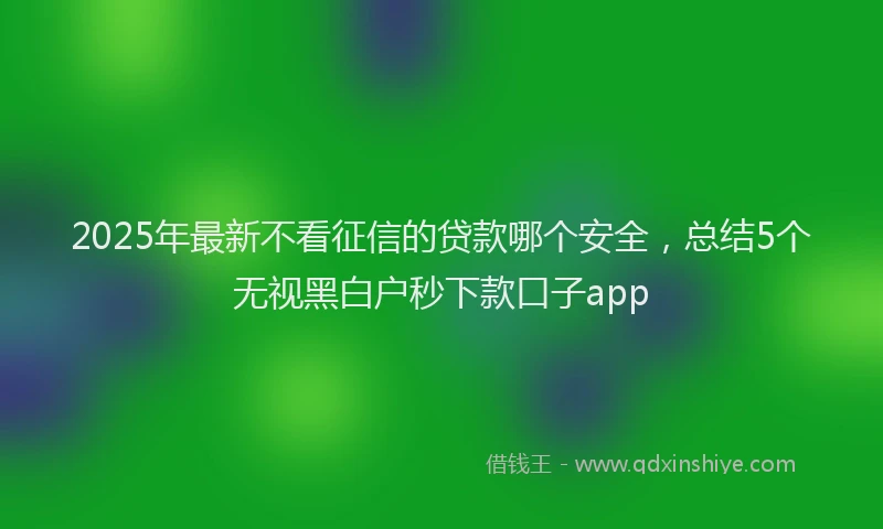 2025年最新不看征信的贷款哪个安全，总结5个无视黑白户秒下款口子app