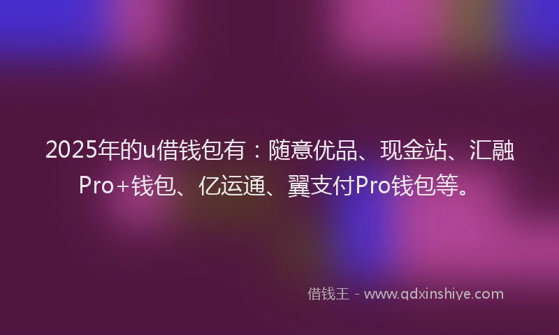 2025年的u借钱包有：随意优品、现金站、汇融Pro+钱包、亿运通、翼支付Pro钱包等。