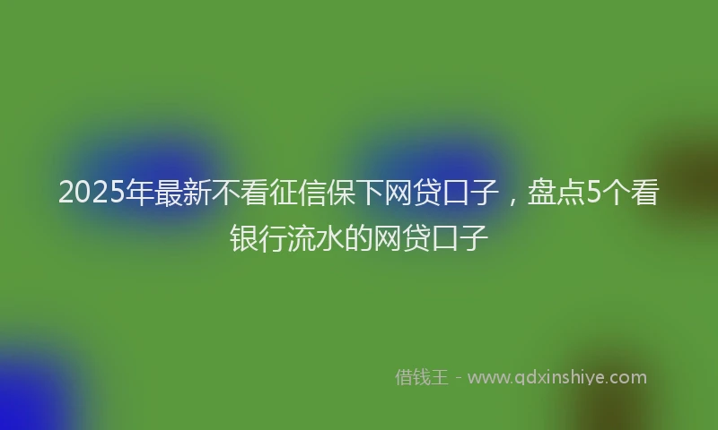 2025年最新不看征信保下网贷口子，盘点5个看银行流水的网贷口子