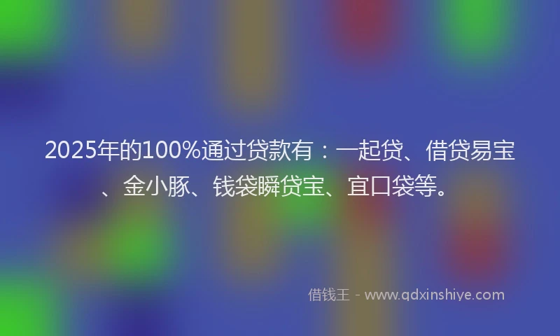 2025年的100%通过贷款有：一起贷、借贷易宝、金小豚、钱袋瞬贷宝、宜口袋等。