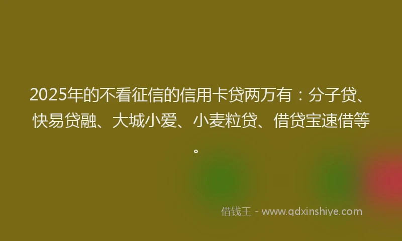 2025年的不看征信的信用卡贷两万有：分子贷、快易贷融、大城小爱、小麦粒贷、借贷宝速借等。