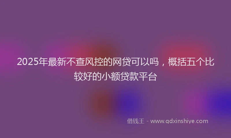 2025年最新不查风控的网贷可以吗，概括五个比较好的小额贷款平台
