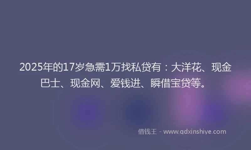 2025年的17岁急需1万找私贷有：大洋花、现金巴士、现金网、爱钱进、瞬借宝贷等。