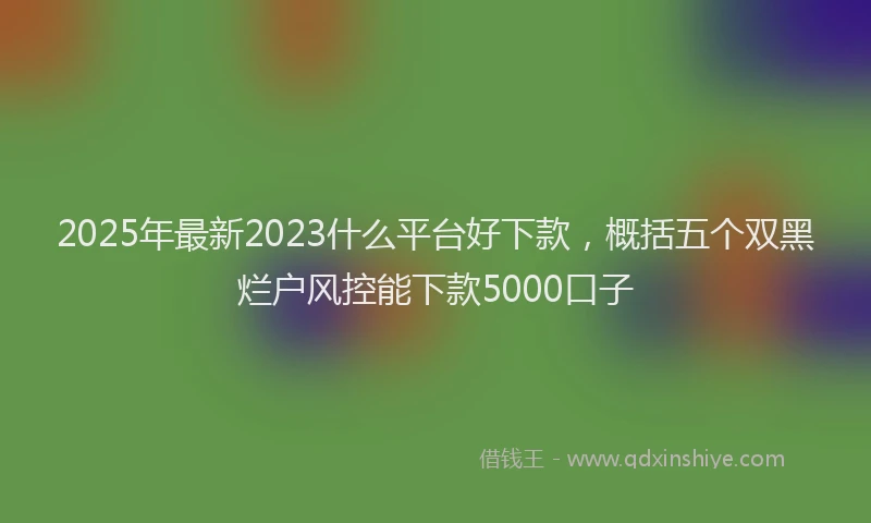2025年最新2023什么平台好下款，概括五个双黑烂户风控能下款5000口子