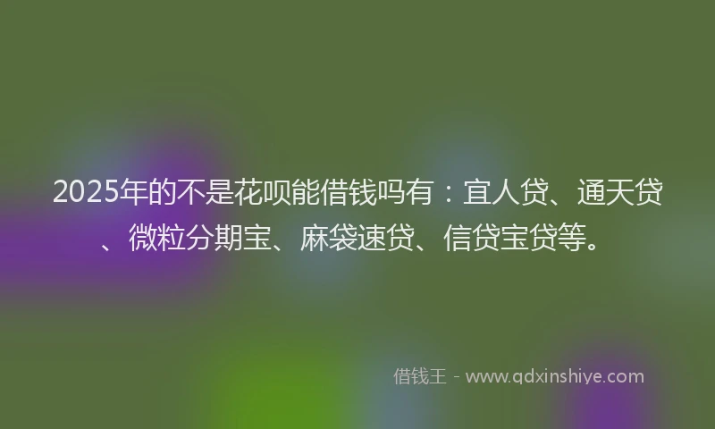 2025年的不是花呗能借钱吗有：宜人贷、通天贷、微粒分期宝、麻袋速贷、信贷宝贷等。