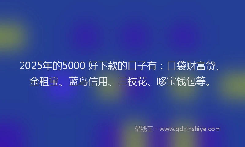 2025年的5000 好下款的口子有：口袋财富贷、金租宝、蓝鸟信用、三枝花、哆宝钱包等。