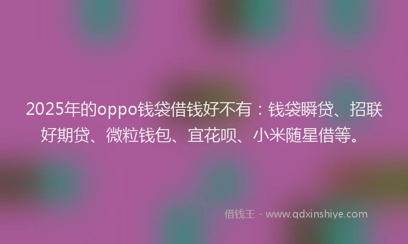 2025年的oppo钱袋借钱好不有：钱袋瞬贷、招联好期贷、微粒钱包、宜花呗、小米随星借等。