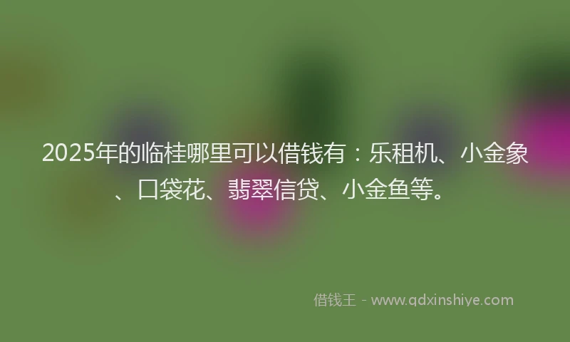 2025年的临桂哪里可以借钱有：乐租机、小金象、口袋花、翡翠信贷、小金鱼等。
