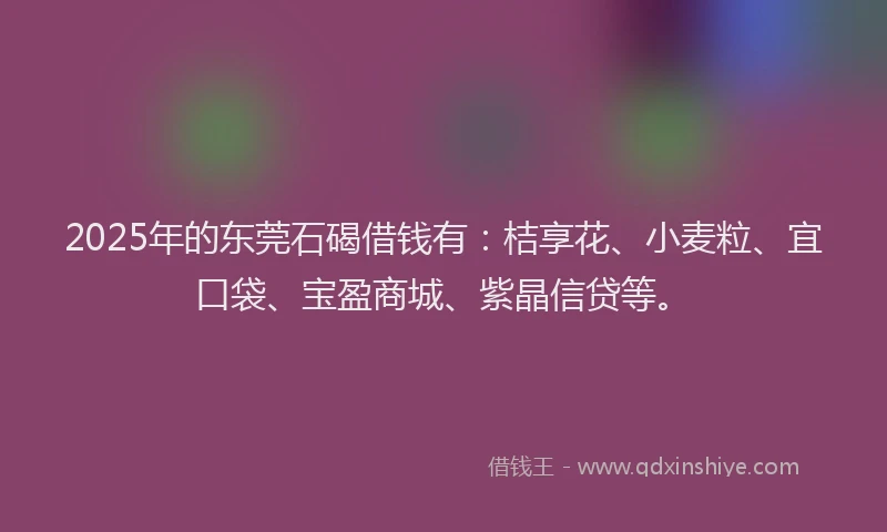2025年的东莞石碣借钱有：桔享花、小麦粒、宜口袋、宝盈商城、紫晶信贷等。