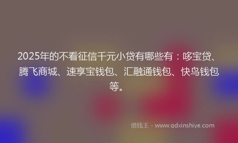 2025年的不看征信千元小贷有哪些有：哆宝贷、腾飞商城、速享宝钱包、汇融通钱包、快鸟钱包等。