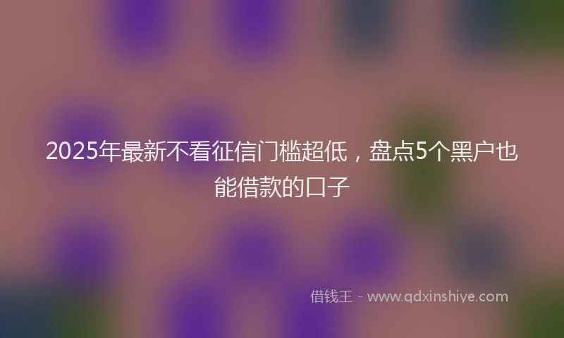 2025年最新不看征信门槛超低，盘点5个黑户也能借款的口子