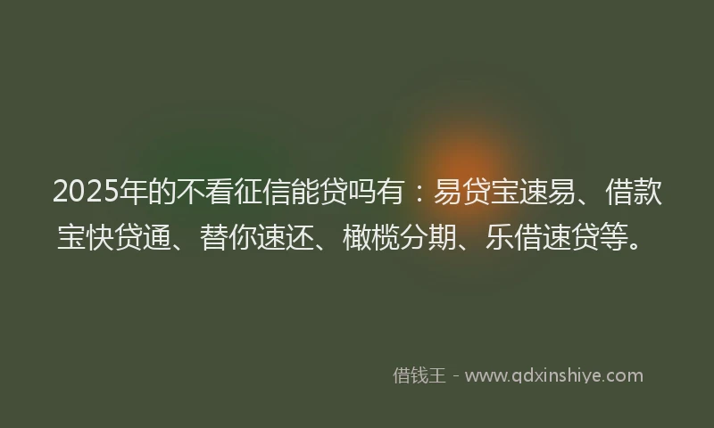 2025年的不看征信能贷吗有：易贷宝速易、借款宝快贷通、替你速还、橄榄分期、乐借速贷等。