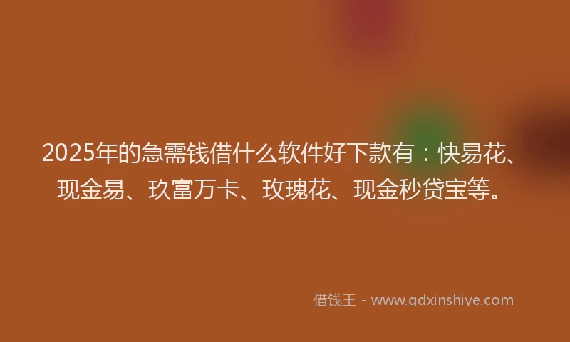 2025年的急需钱借什么软件好下款有：快易花、现金易、玖富万卡、玫瑰花、现金秒贷宝等。