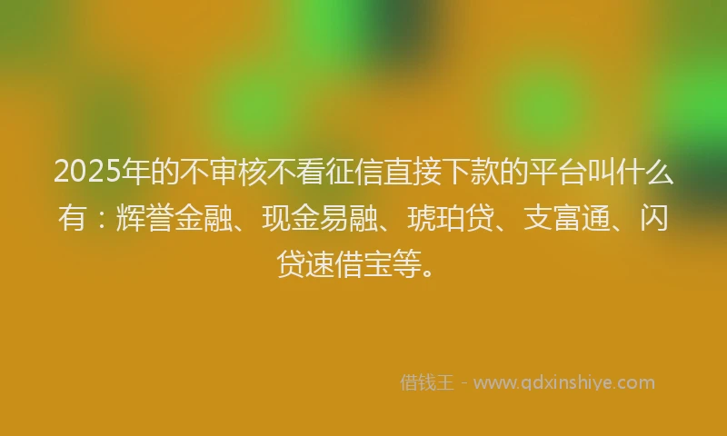 2025年的不审核不看征信直接下款的平台叫什么有：辉誉金融、现金易融、琥珀贷、支富通、闪贷速借宝等。
