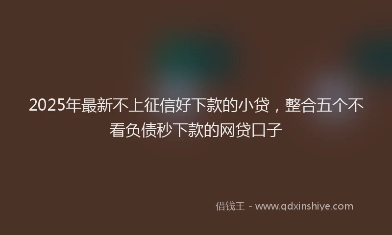 2025年最新不上征信好下款的小贷，整合五个不看负债秒下款的网贷口子