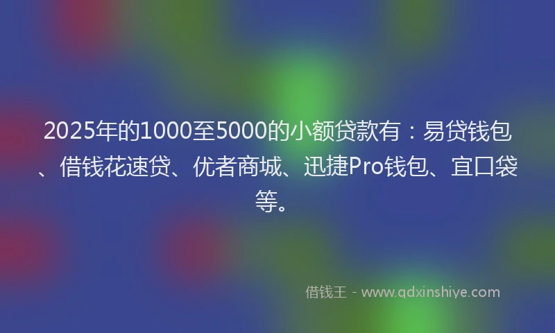2025年的1000至5000的小额贷款有：易贷钱包、借钱花速贷、优者商城、迅捷Pro钱包、宜口袋等。