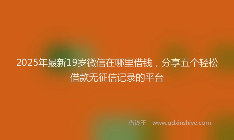 2025年最新19岁微信在哪里借钱，分享五个轻松借款无征信记录的平台