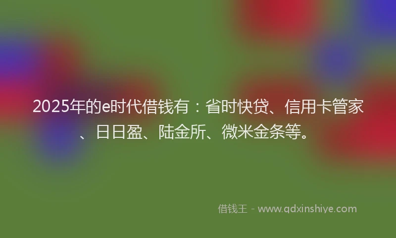2025年的e时代借钱有：省时快贷、信用卡管家、日日盈、陆金所、微米金条等。
