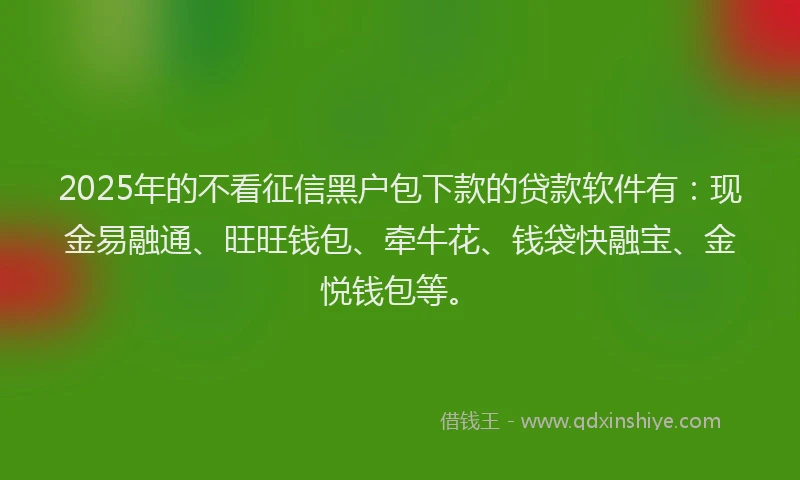 2025年的不看征信黑户包下款的贷款软件有：现金易融通、旺旺钱包、牵牛花、钱袋快融宝、金悦钱包等。