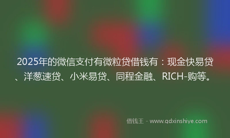 2025年的微信支付有微粒贷借钱有：现金快易贷、洋葱速贷、小米易贷、同程金融、RICH-购等。