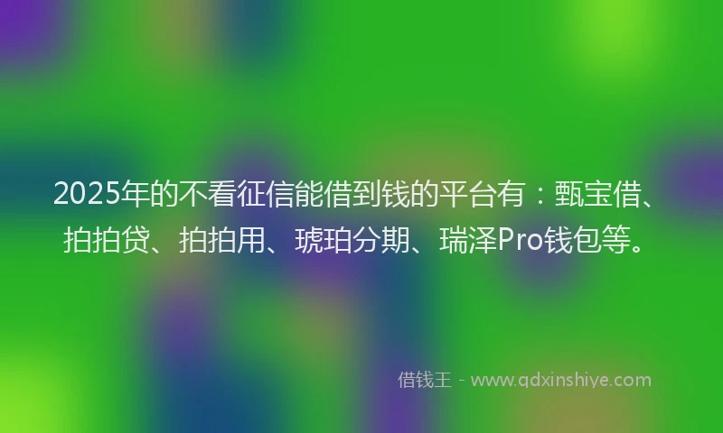 2025年的不看征信能借到钱的平台有：甄宝借、拍拍贷、拍拍用、琥珀分期、瑞泽Pro钱包等。
