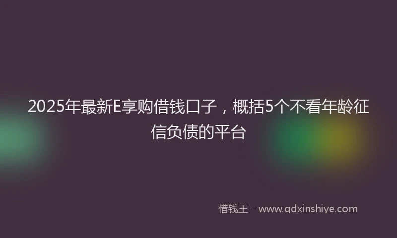 2025年最新E享购借钱口子，概括5个不看年龄征信负债的平台