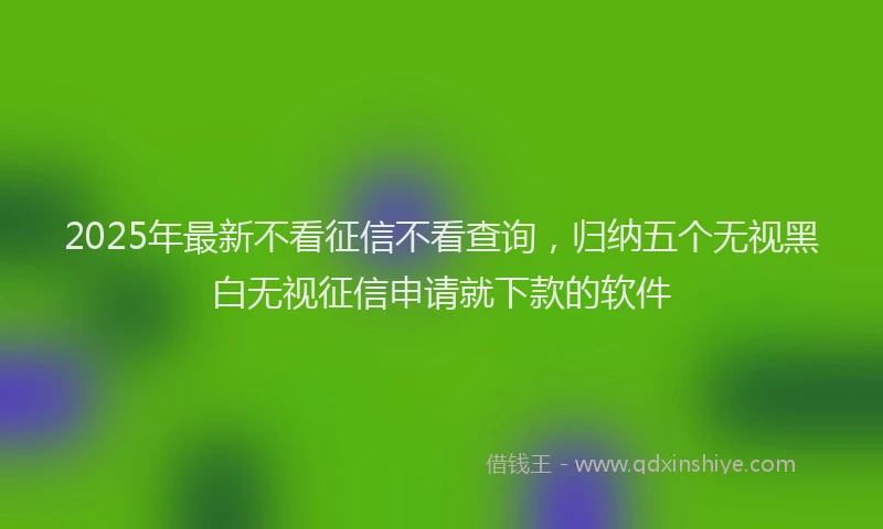 2025年最新不看征信不看查询，归纳五个无视黑白无视征信申请就下款的软件