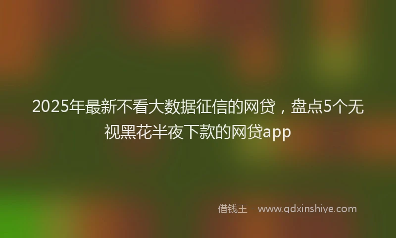 2025年最新不看大数据征信的网贷，盘点5个无视黑花半夜下款的网贷app
