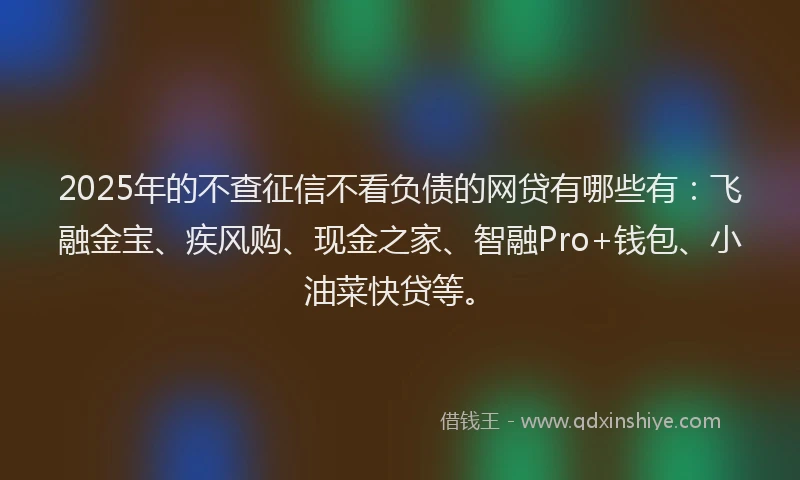 2025年的不查征信不看负债的网贷有哪些有：飞融金宝、疾风购、现金之家、智融Pro+钱包、小油菜快贷等。