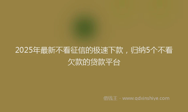 2025年最新不看征信的极速下款，归纳5个不看欠款的贷款平台