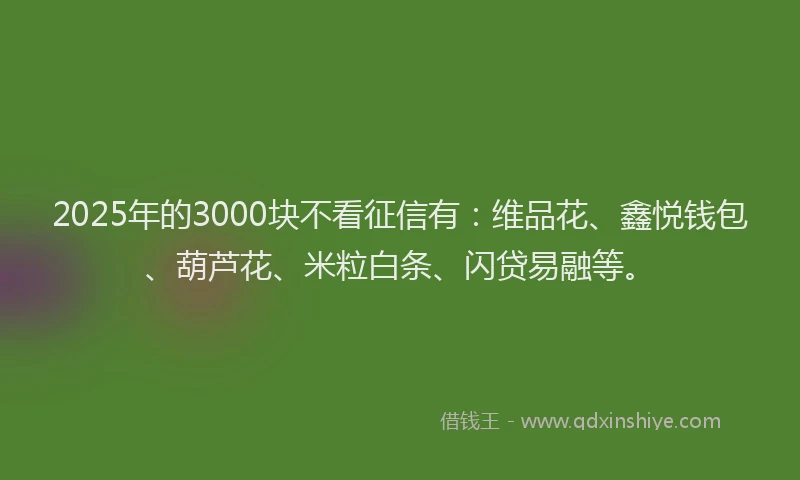 2025年的3000块不看征信有：维品花、鑫悦钱包、葫芦花、米粒白条、闪贷易融等。
