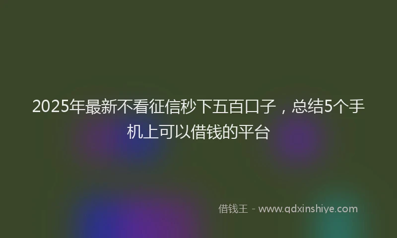 2025年最新不看征信秒下五百口子，总结5个手机上可以借钱的平台