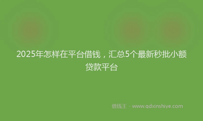 2025年怎样在平台借钱，汇总5个最新秒批小额贷款平台