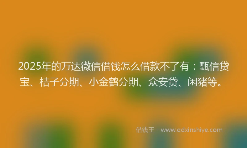 2025年的万达微信借钱怎么借款不了有：甄信贷宝、桔子分期、小金鹤分期、众安贷、闲猪等。