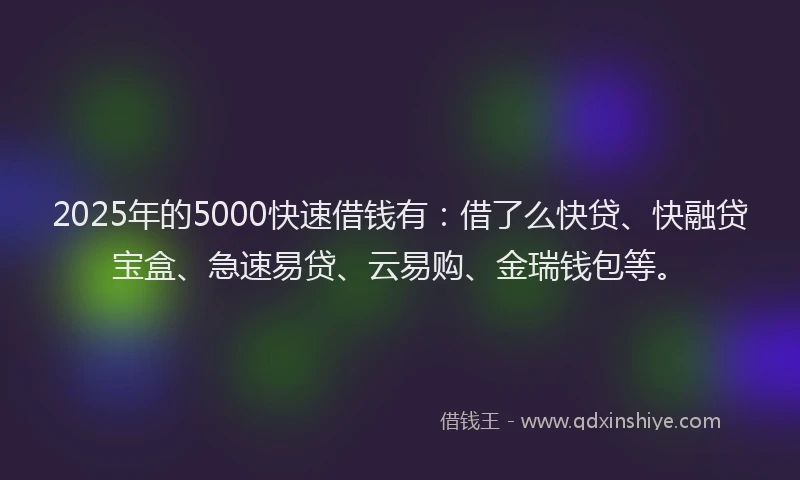 2025年的5000快速借钱有：借了么快贷、快融贷宝盒、急速易贷、云易购、金瑞钱包等。