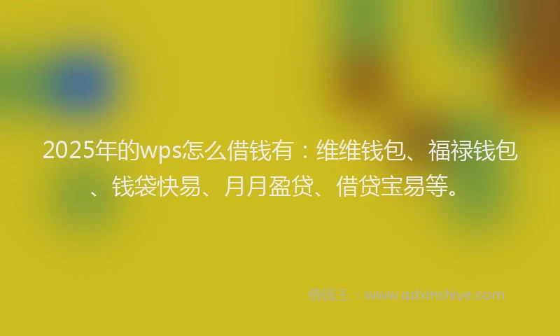 2025年的wps怎么借钱有：维维钱包、福禄钱包、钱袋快易、月月盈贷、借贷宝易等。