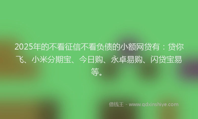 2025年的不看征信不看负债的小额网贷有：贷你飞、小米分期宝、今日购、永卓易购、闪贷宝易等。