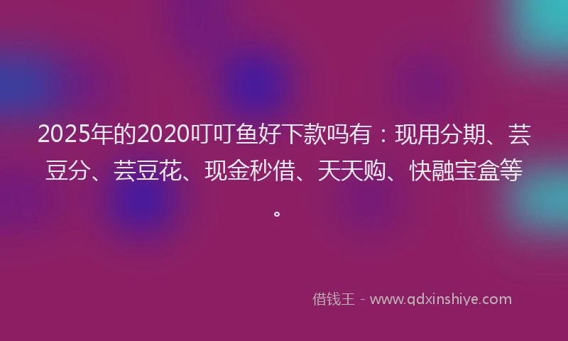 2025年的2020叮叮鱼好下款吗有：现用分期、芸豆分、芸豆花、现金秒借、天天购、快融宝盒等。