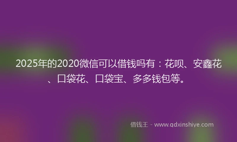 2025年的2020微信可以借钱吗有：花呗、安鑫花、口袋花、口袋宝、多多钱包等。