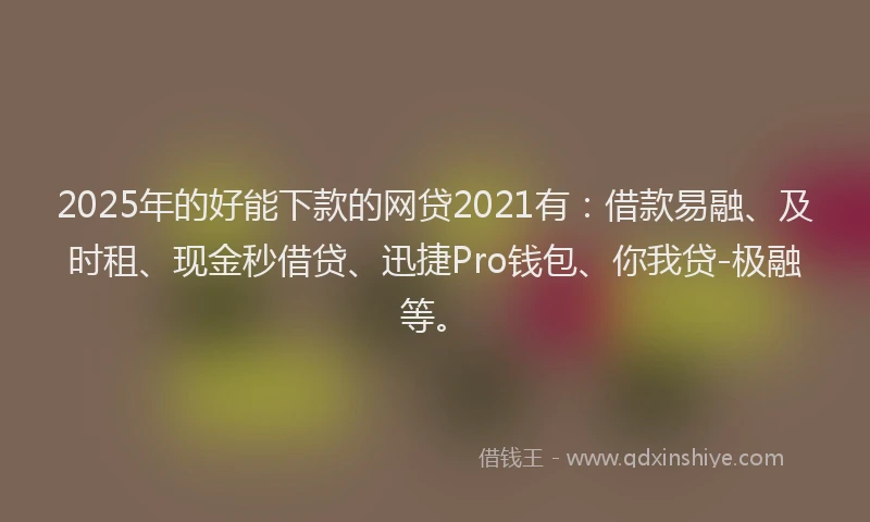 2025年的好能下款的网贷2021有：借款易融、及时租、现金秒借贷、迅捷Pro钱包、你我贷-极融等。