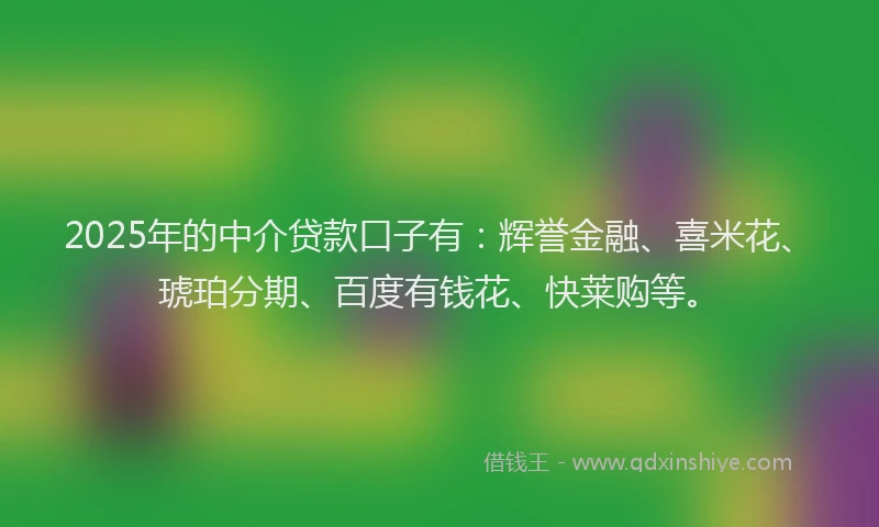 2025年的中介贷款口子有：辉誉金融、喜米花、琥珀分期、百度有钱花、快莱购等。