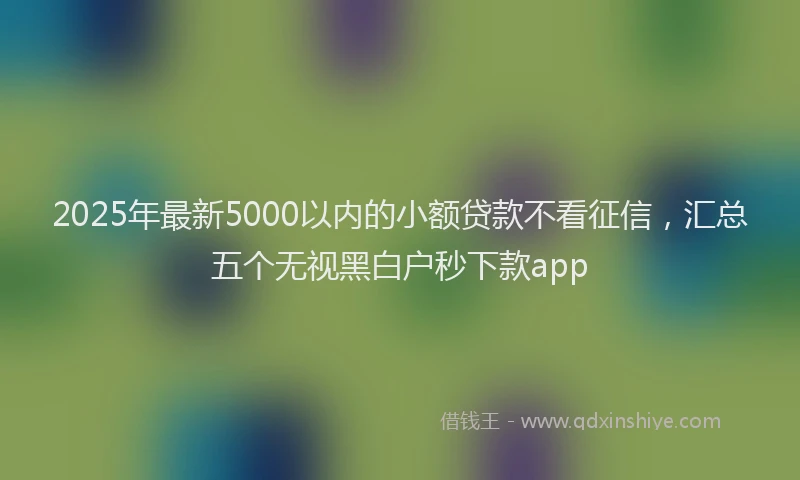 2025年最新5000以内的小额贷款不看征信，汇总五个无视黑白户秒下款app