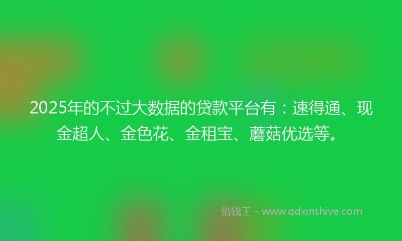 2025年的不过大数据的贷款平台有：速得通、现金超人、金色花、金租宝、蘑菇优选等。