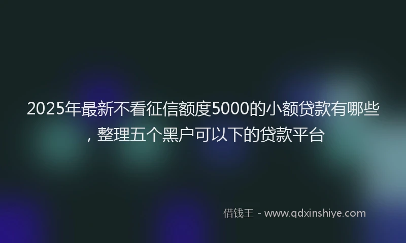2025年最新不看征信额度5000的小额贷款有哪些，整理五个黑户可以下的贷款平台