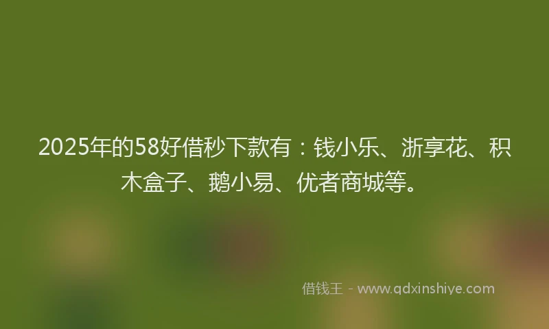 2025年的58好借秒下款有：钱小乐、浙享花、积木盒子、鹅小易、优者商城等。
