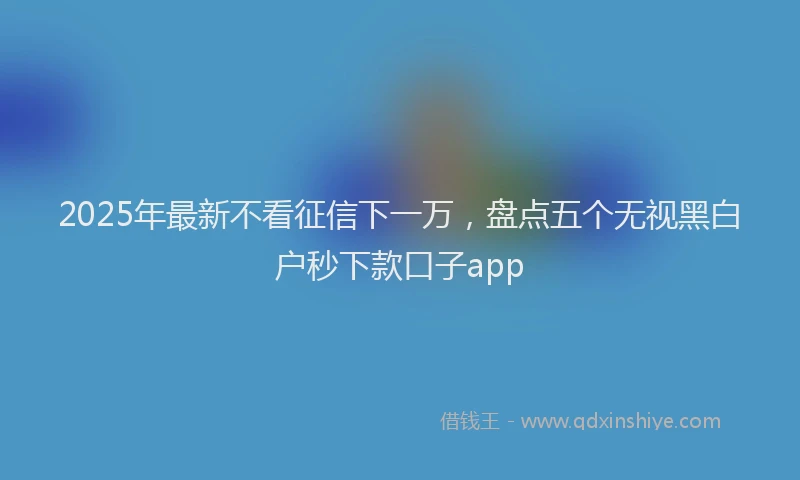 2025年最新不看征信下一万，盘点五个无视黑白户秒下款口子app